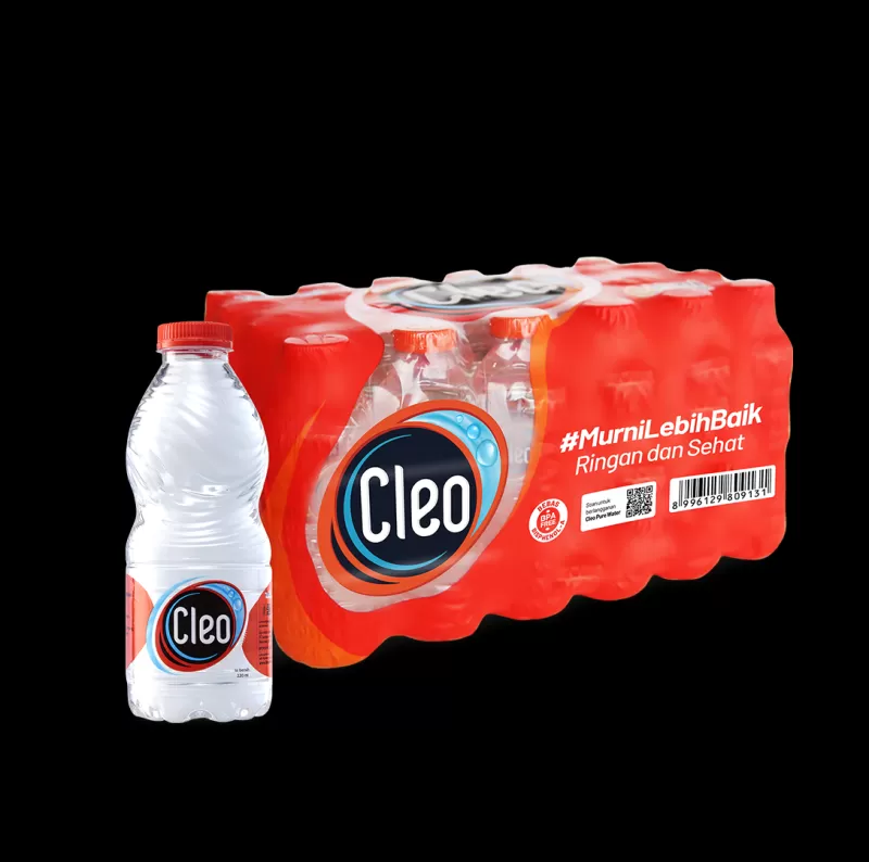 CLEO MINI